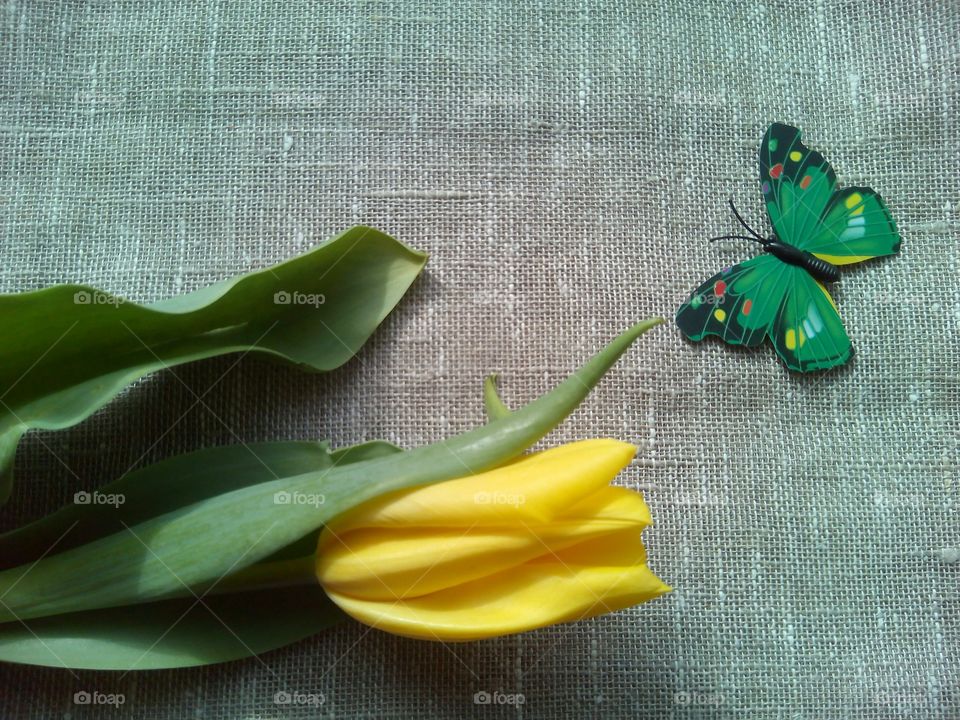 No Person, Leaf, Desktop, Flower, Flora