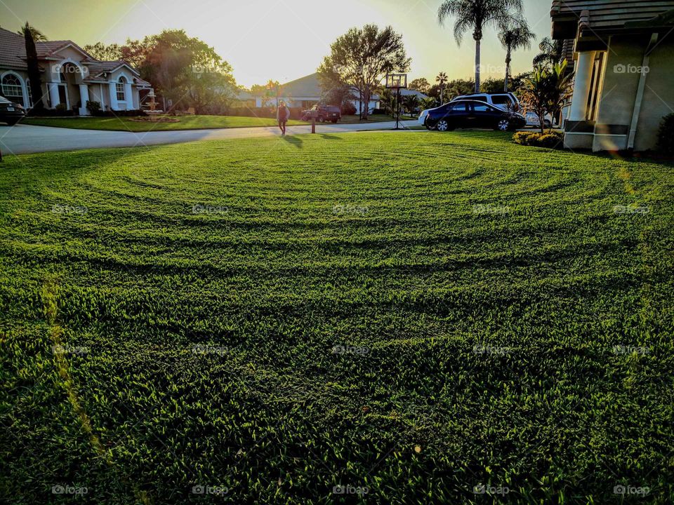 Lawn Circles