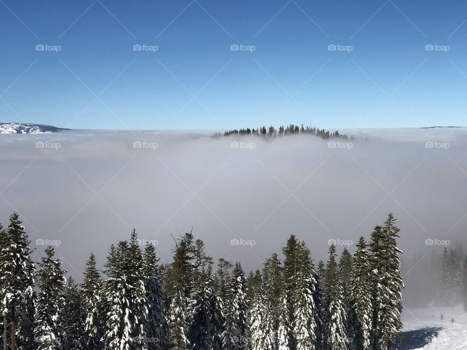 Fog over sierras 