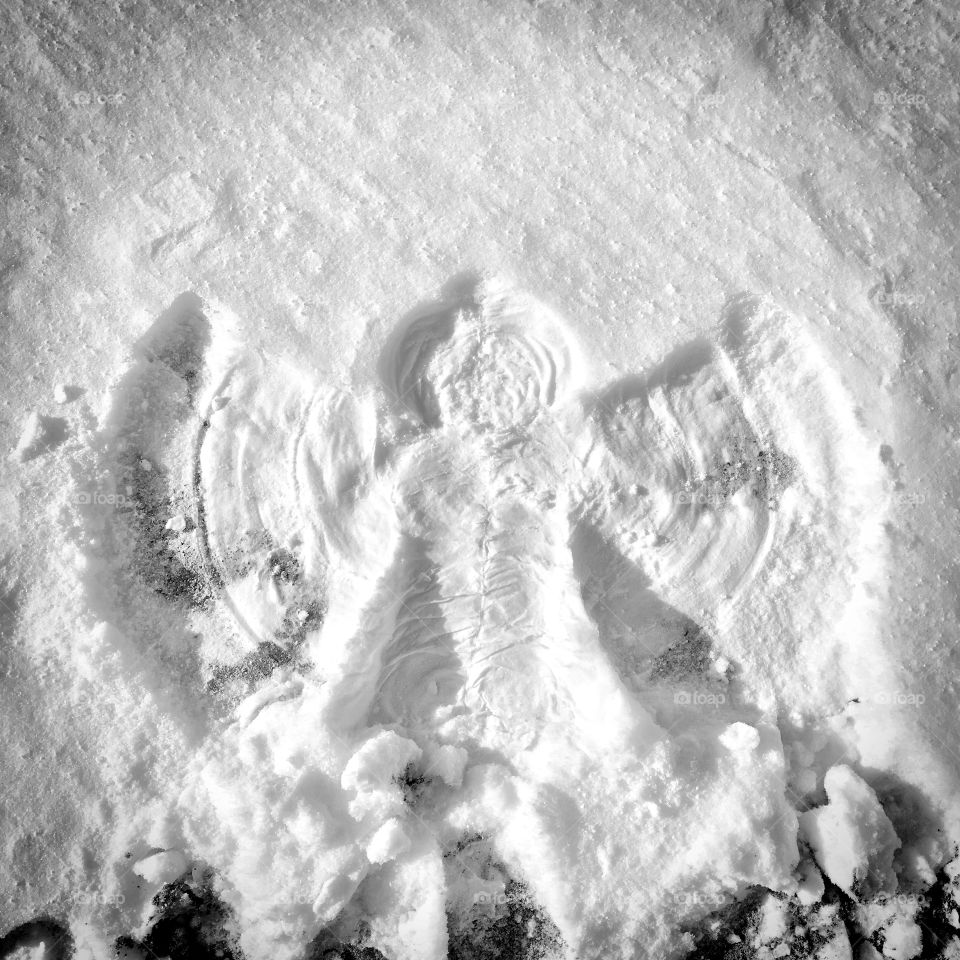 Snow Angel 