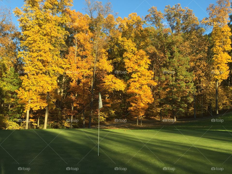 Beauty on the Golf Course