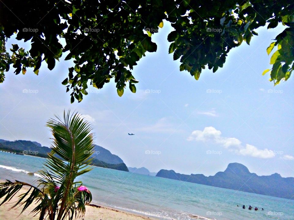 did you see the Airplane?😂😍