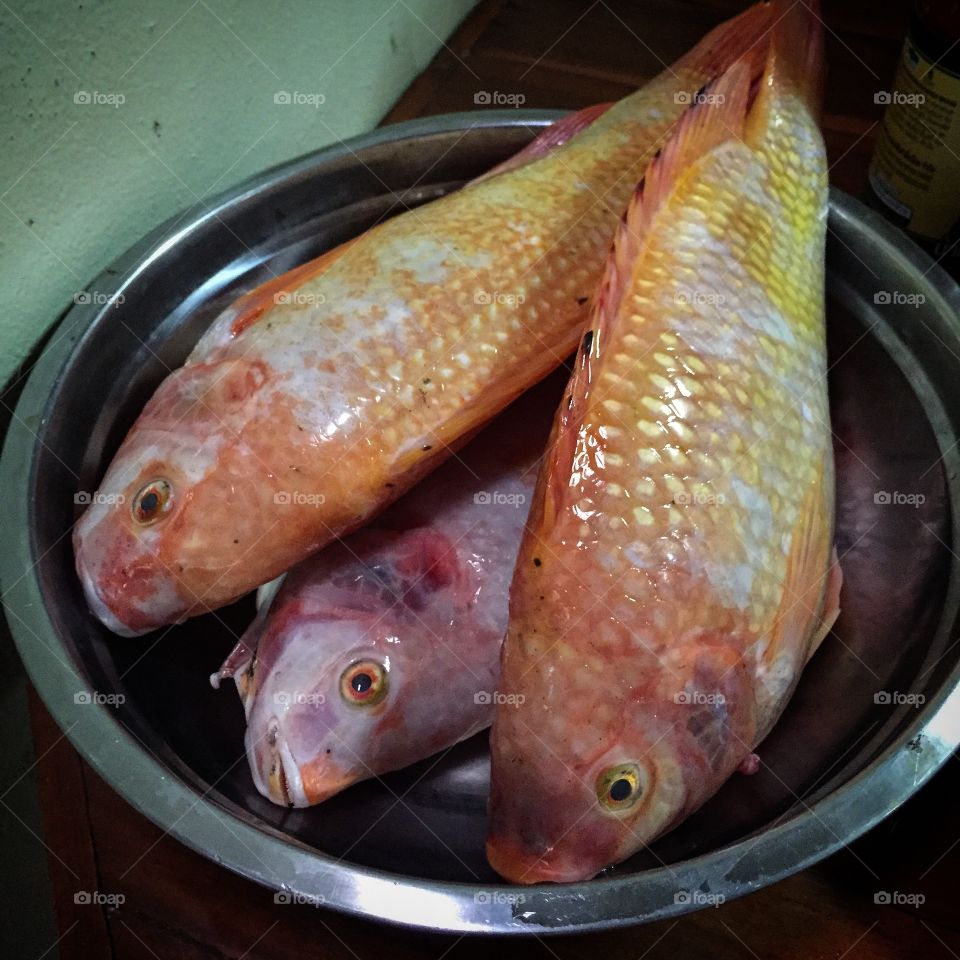 The fish for cooking are in the bowl