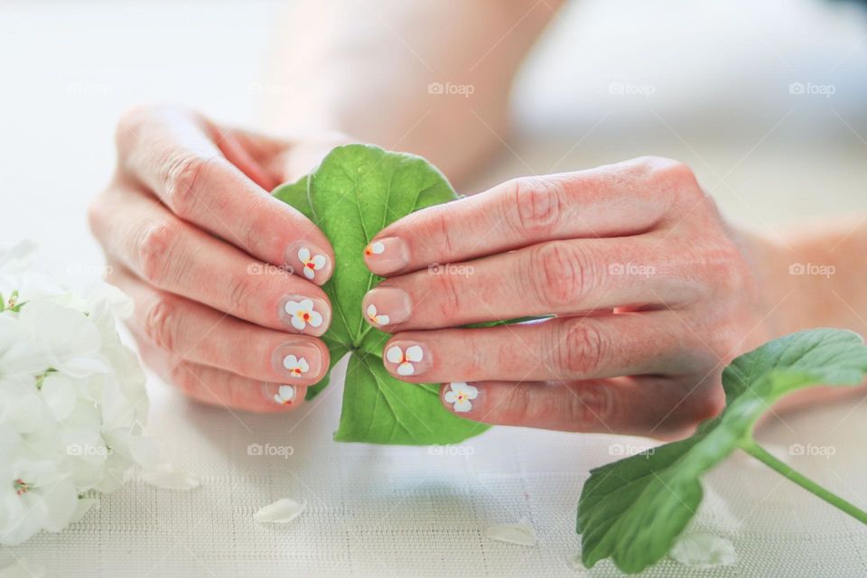Woman's hands with beautiful manicure are holding a green leaf
