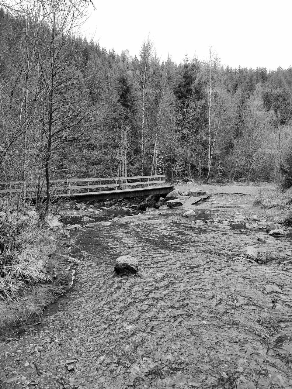 Walk in the woods, Bayehon waterfall