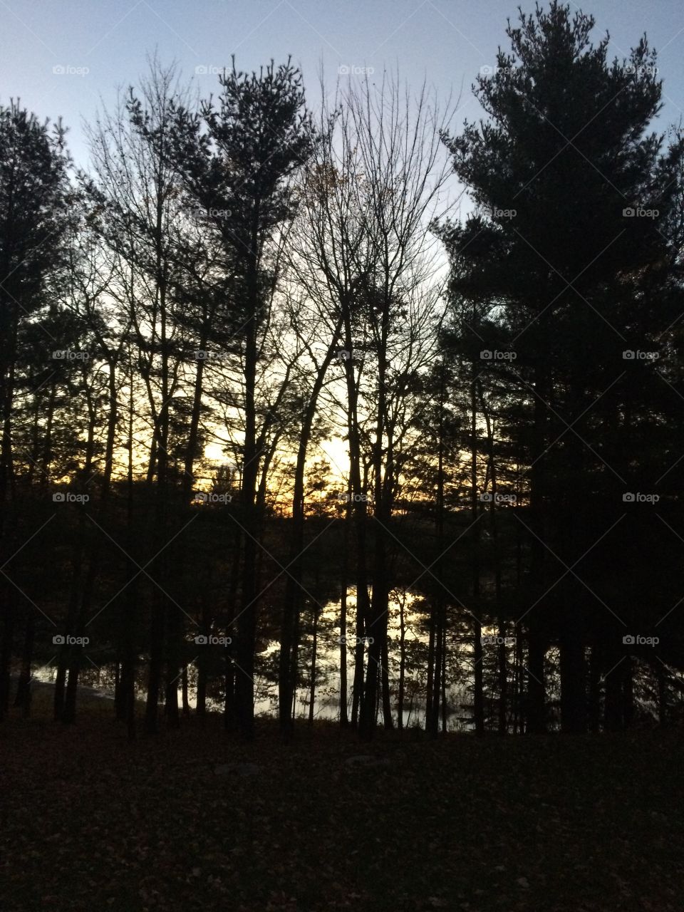 Evening reflection 