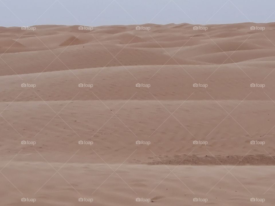The real Dunes