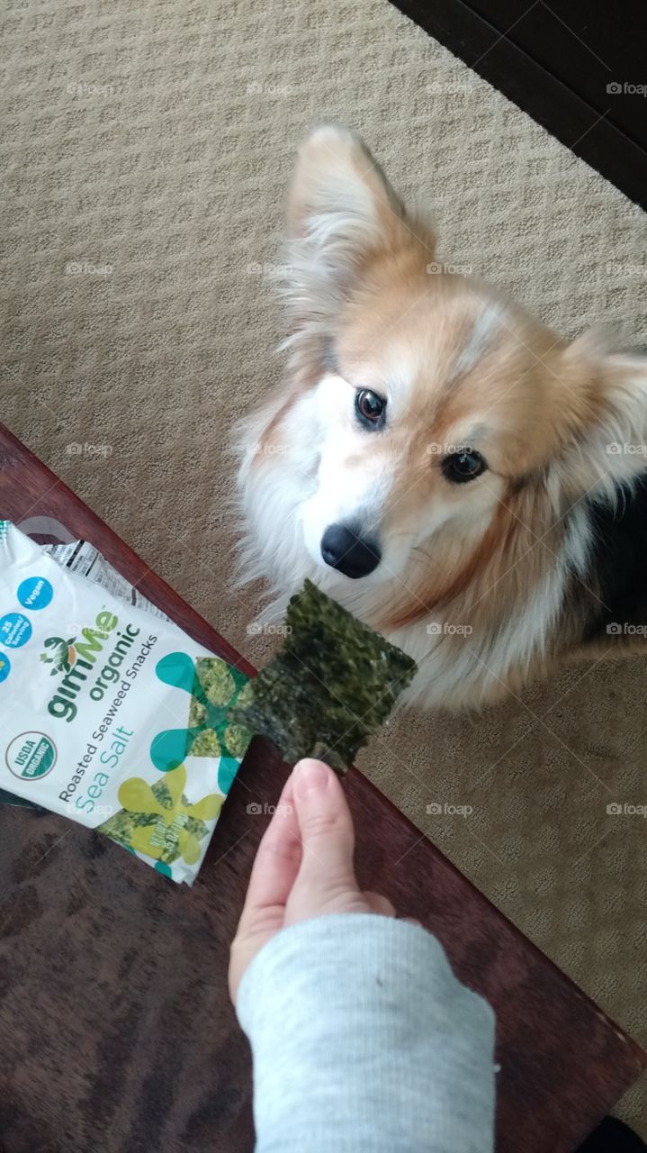 Trying seaweed