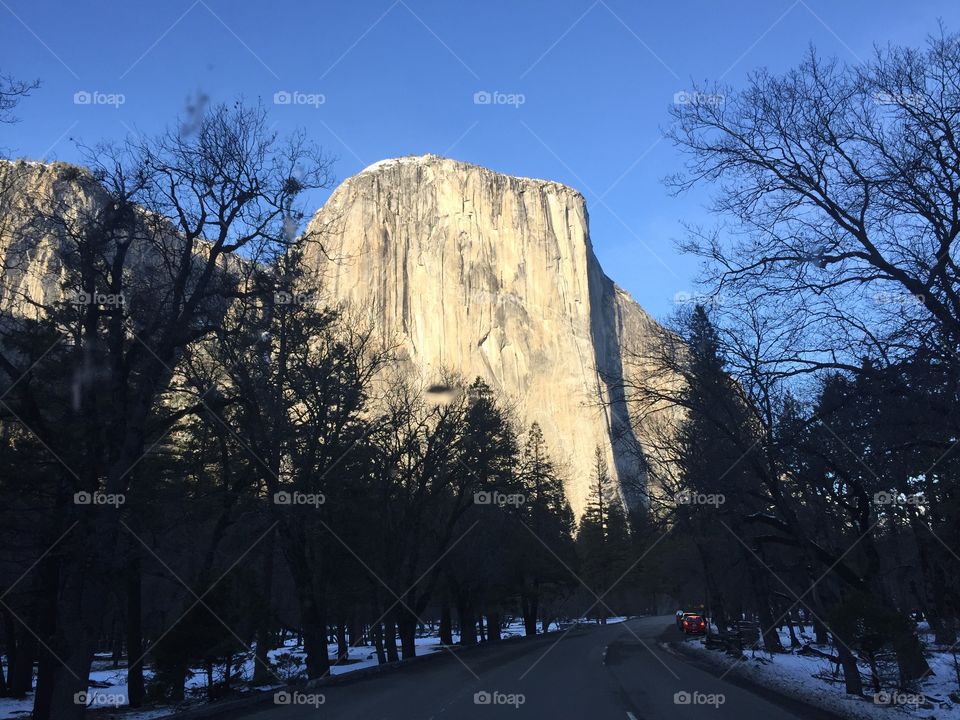 Yosemite white winter 