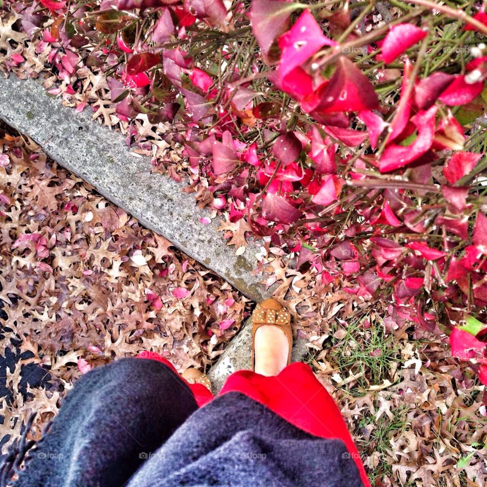 A walk  with  red leafs 