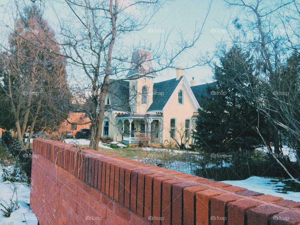 Fence and house 