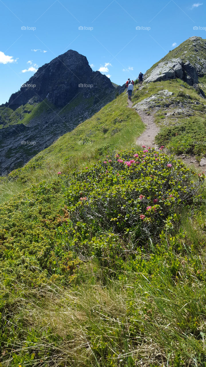 Hiking trail in the mountains in a sunny day 
