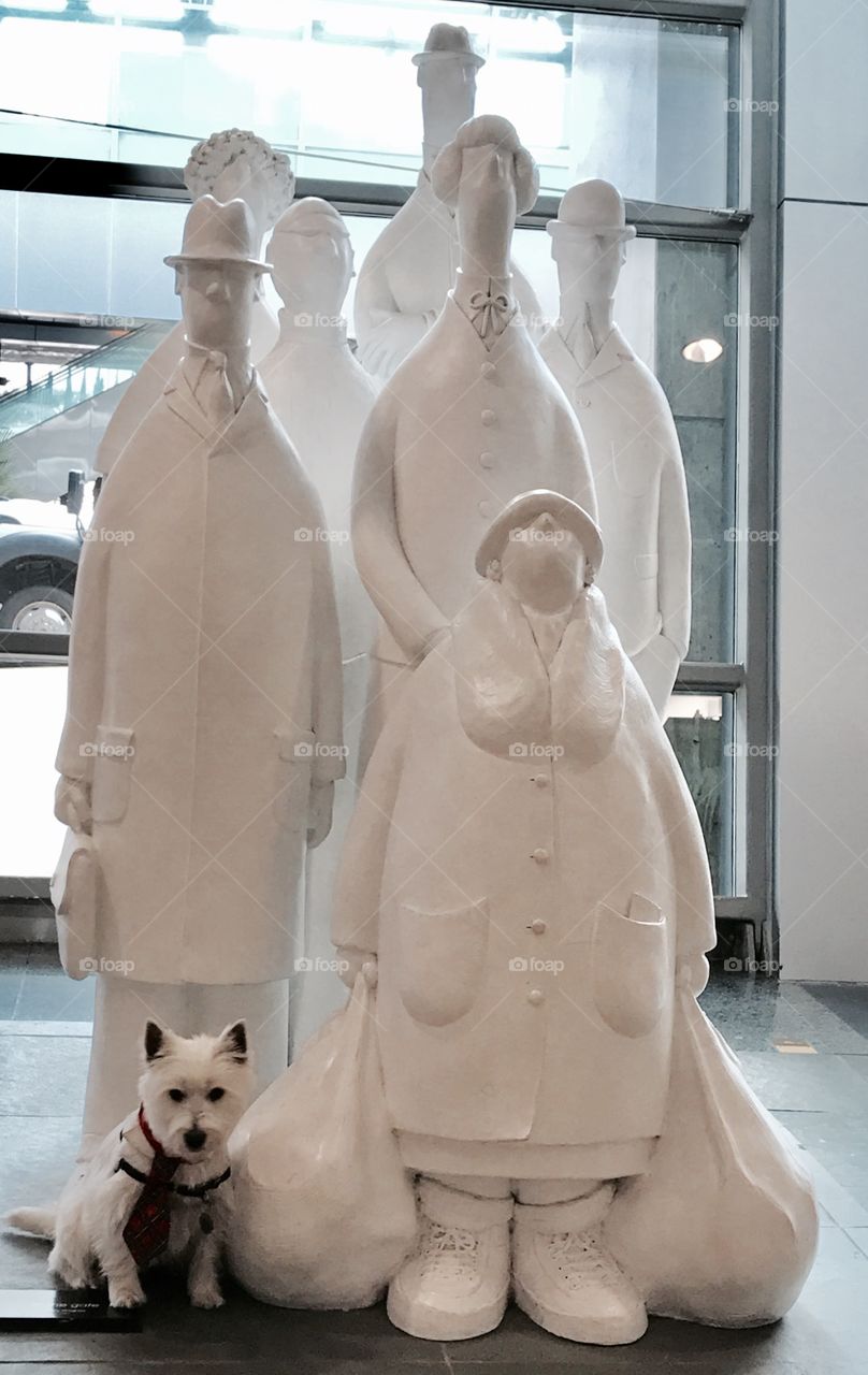 Art at San Diego airport with Mac my westie 