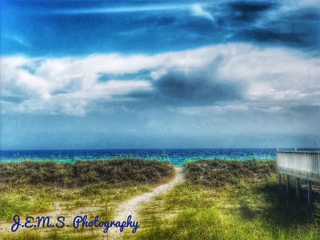 Before a storm 