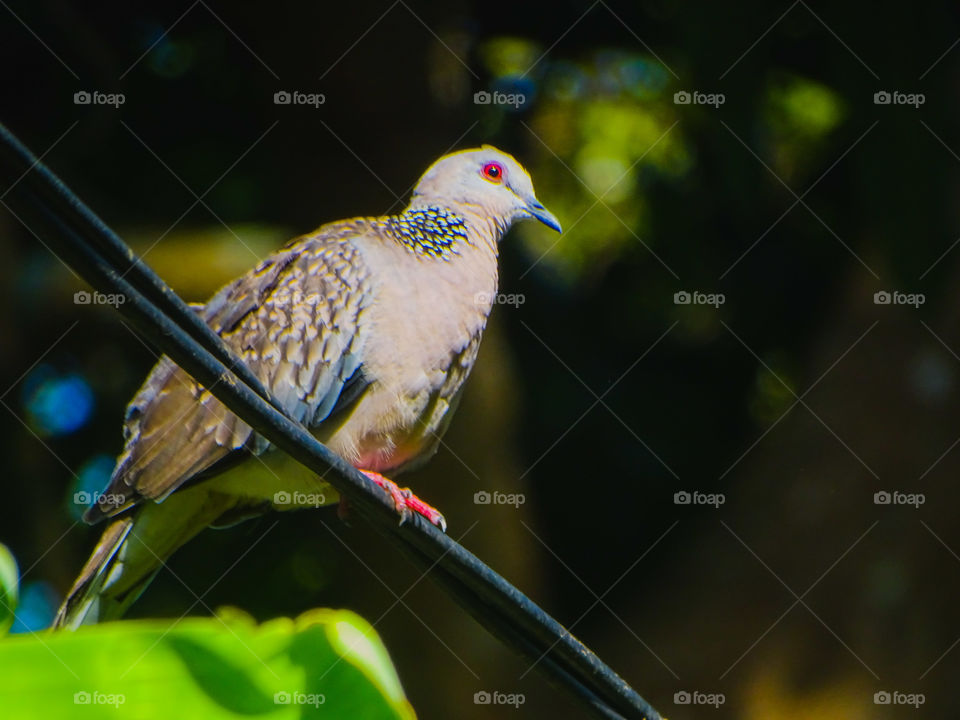 how much do you like this photo