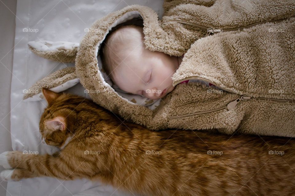 Baby sleeping with a cat.