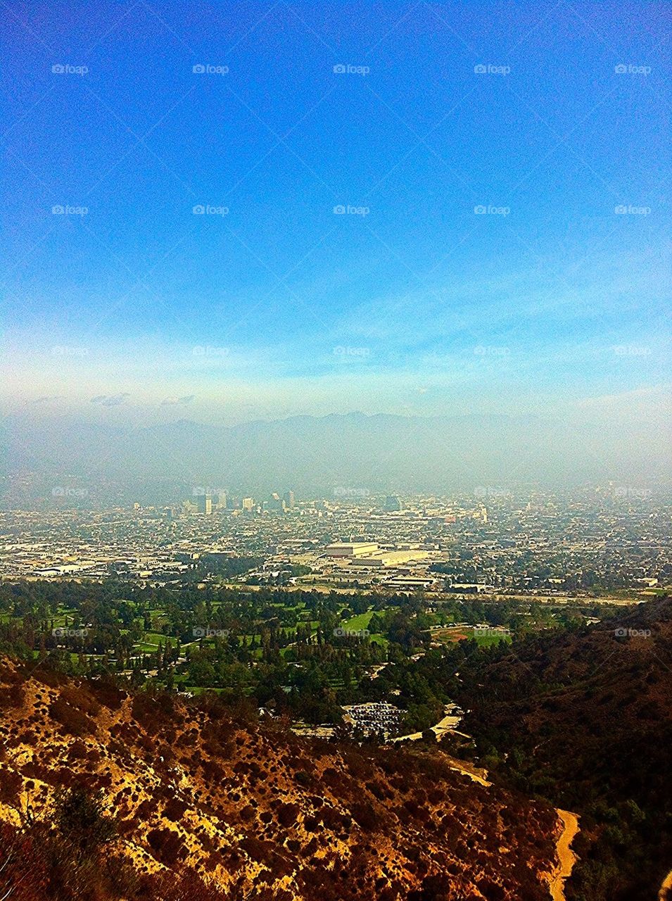 Los Angeles scenery from Griffith Park
