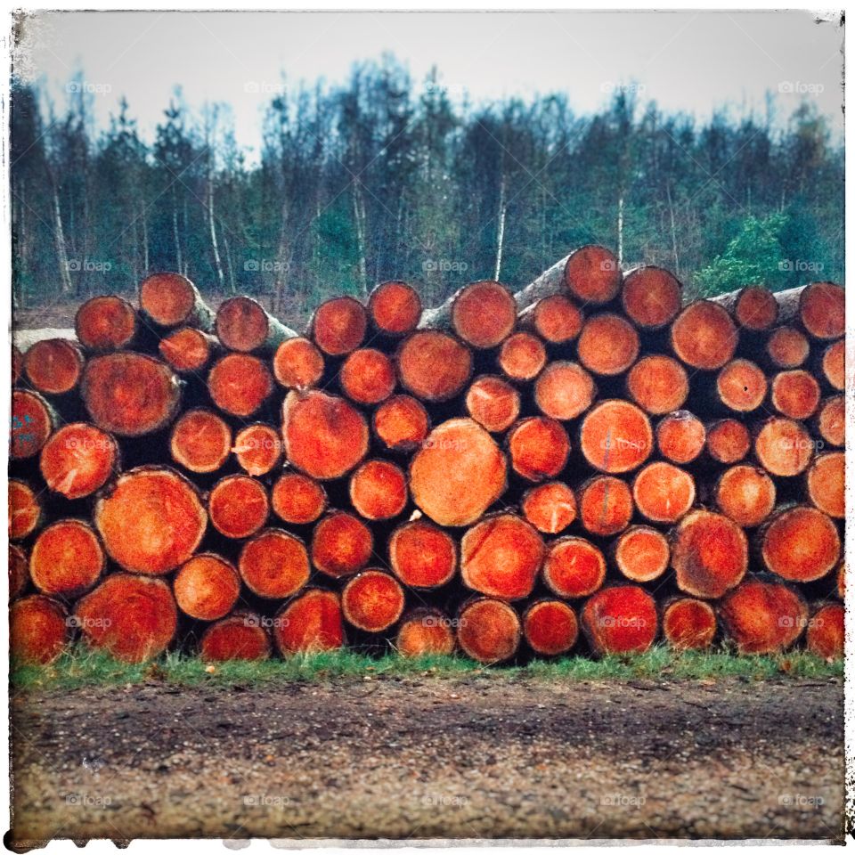 Row, Industry, Desktop, Color, Energy