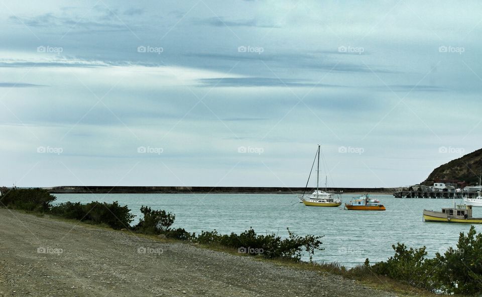 Boats in harbour