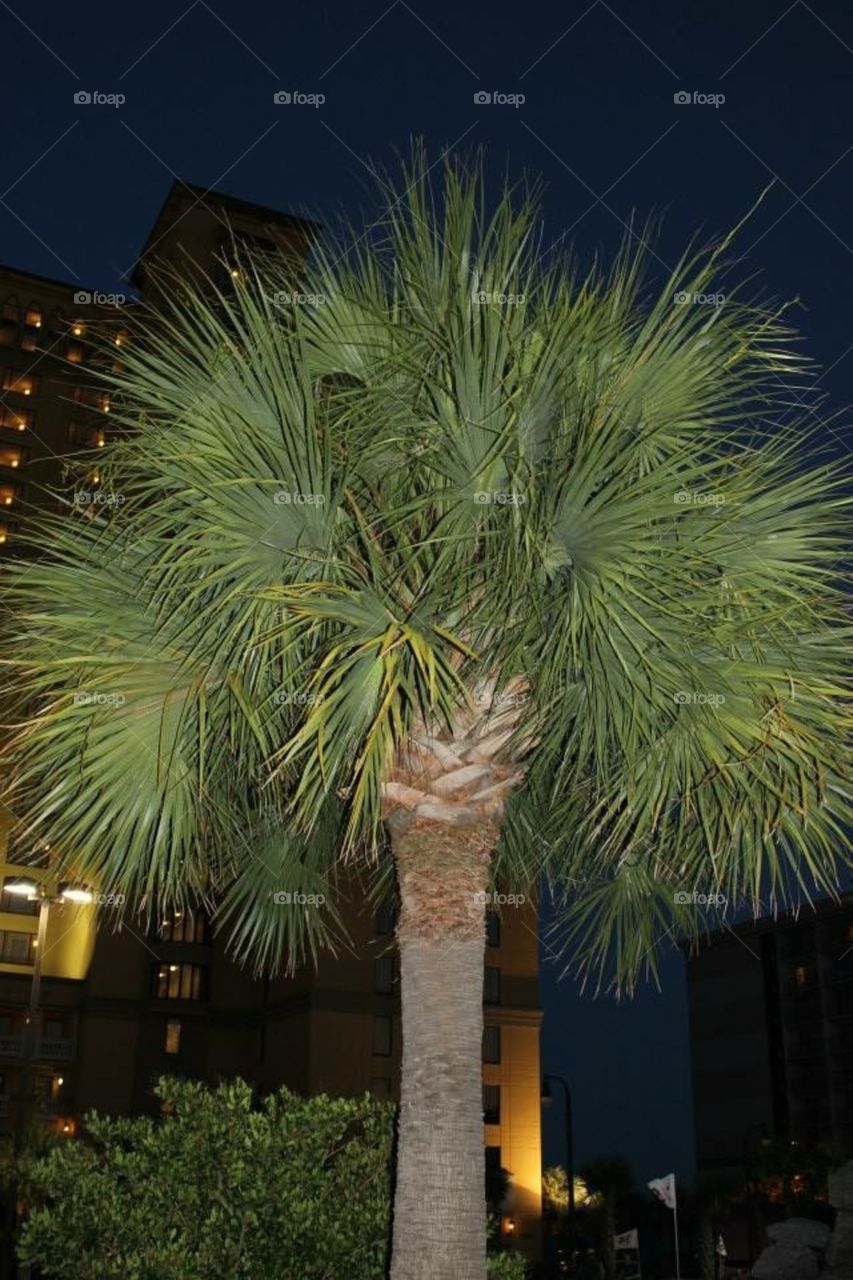 Night time at the beach 