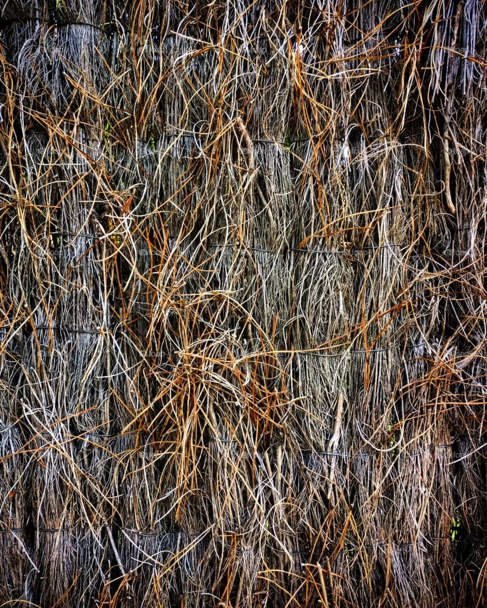 Texture byroberelias