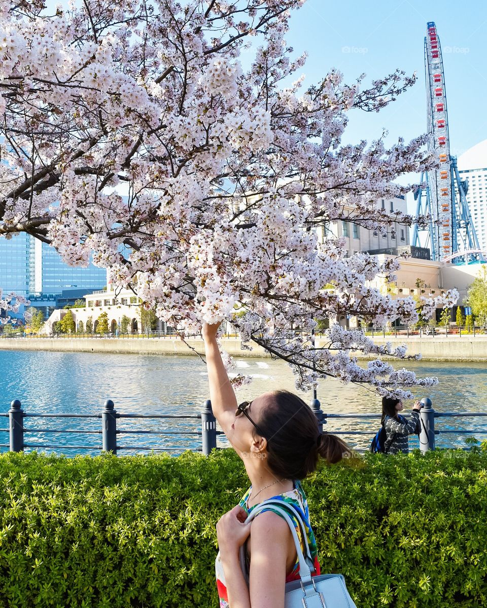 Women holding cherry blossom flower