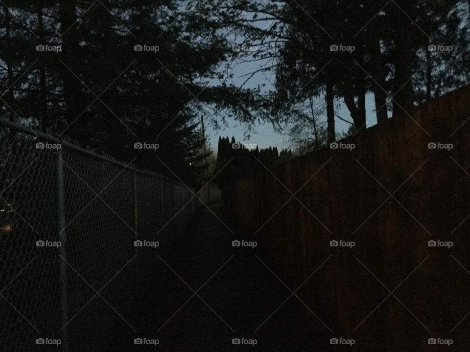 Path of darkness and dreams 