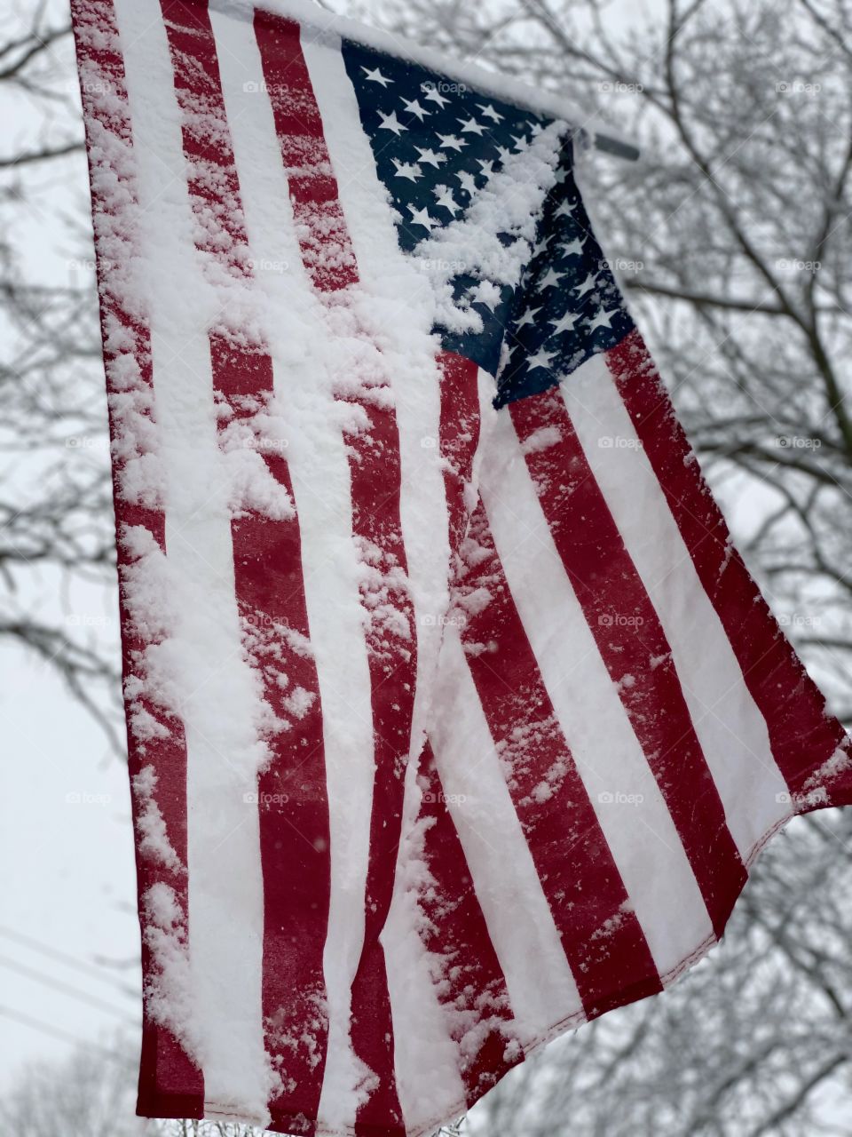 Snow covered American Flag with snow covered trees in the background; upward view 