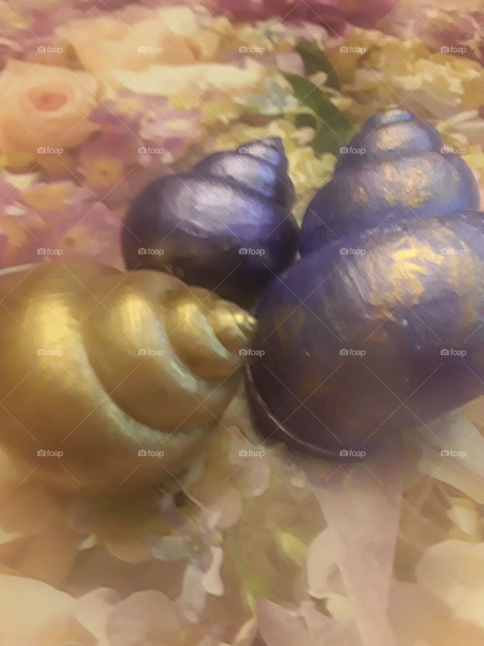 sea shells painting (relaxing with colors)