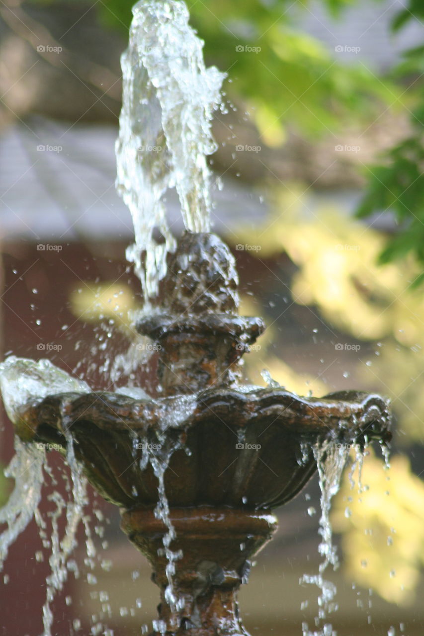 water fountain in the garden 
