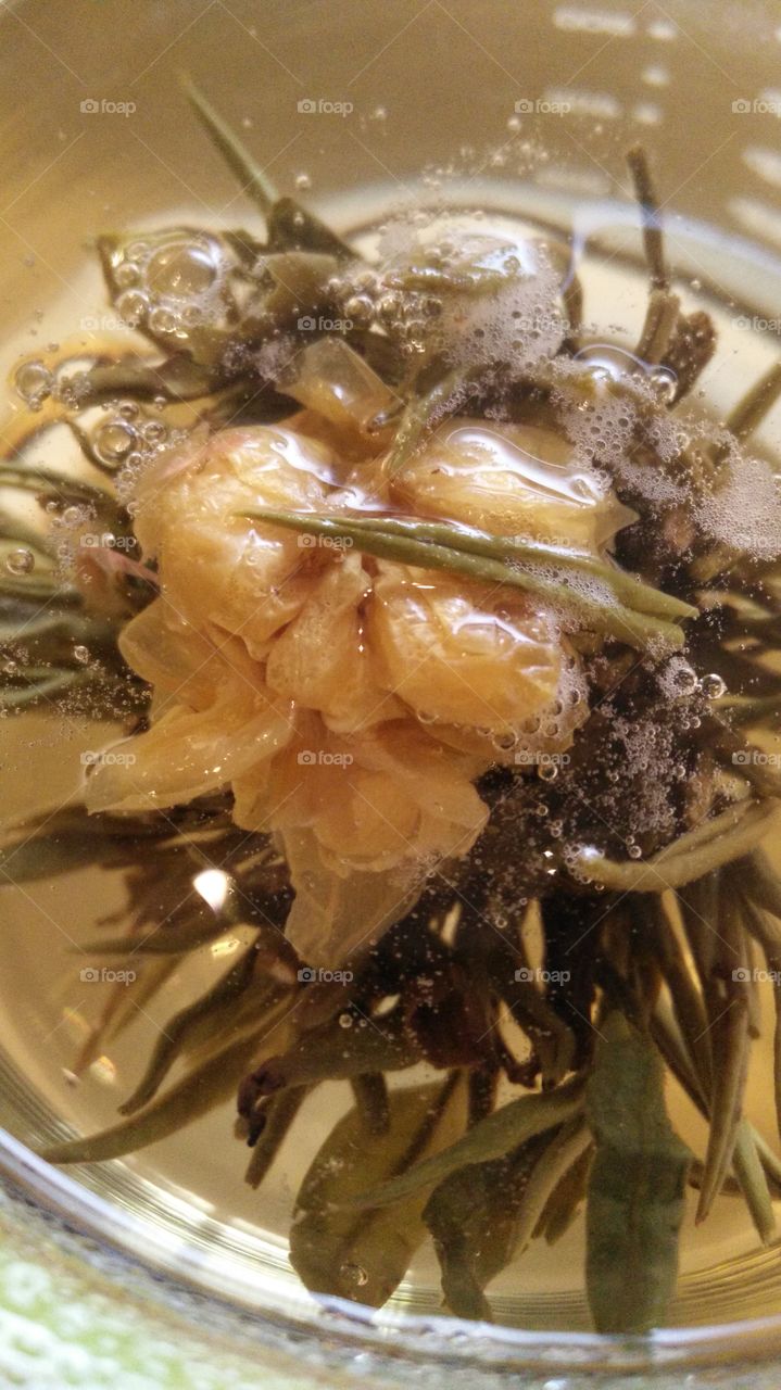 blossom tea flower in pot opened
