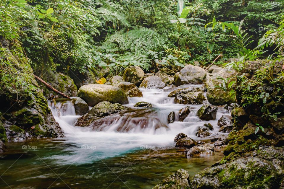 a flowing river that will pass through going to ditumabo falls in Baler Aurora