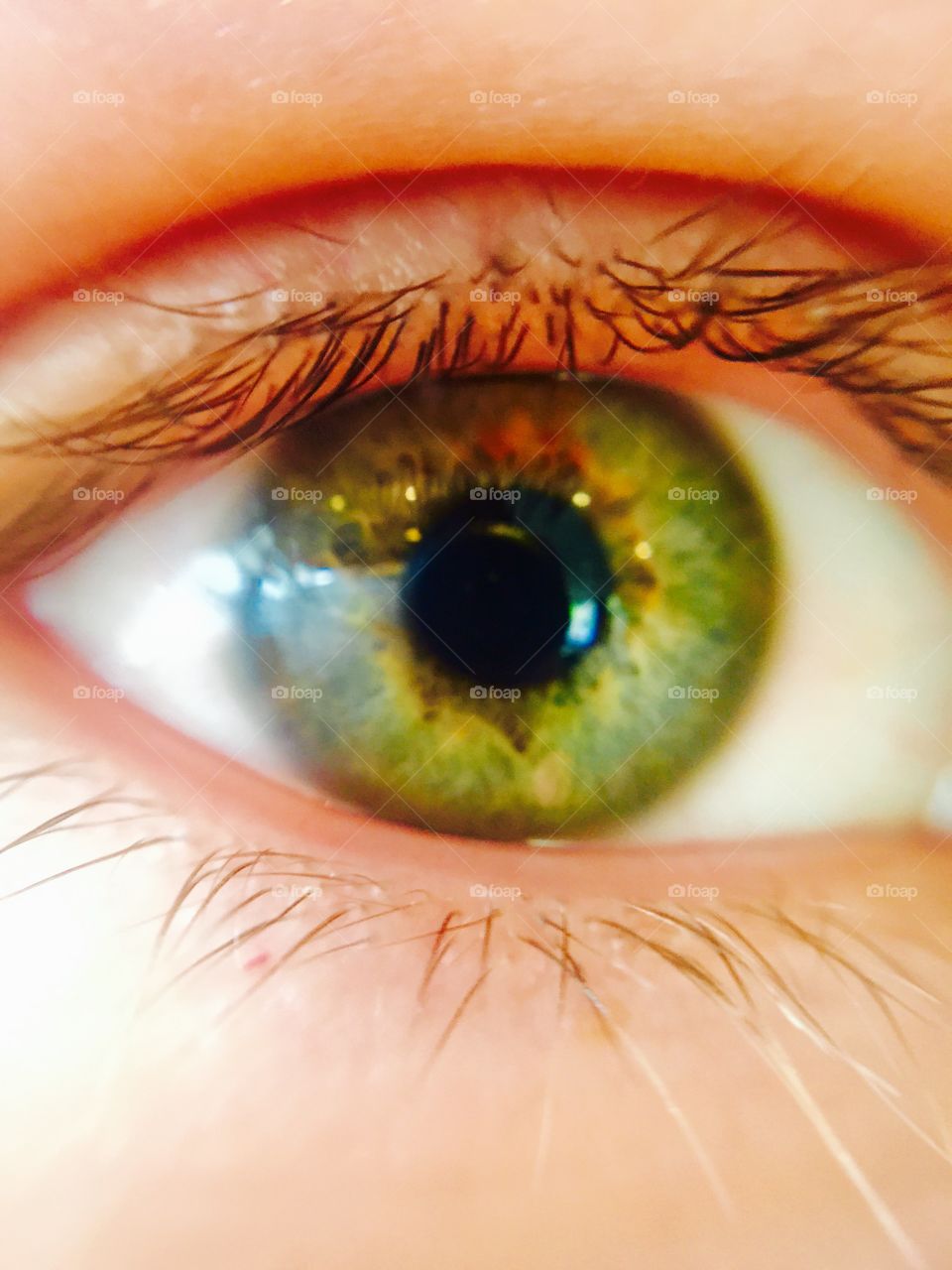 Green eye. Picture Of my eye
