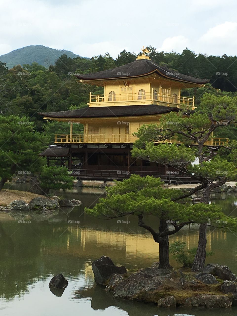 The golden palace Japan 