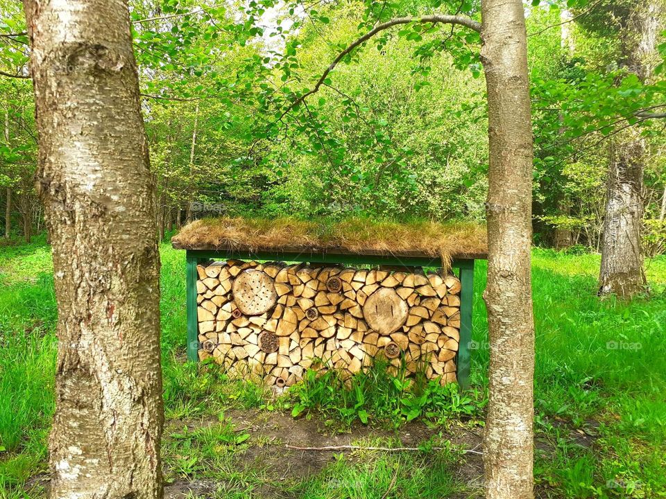 bees hotel - triangles