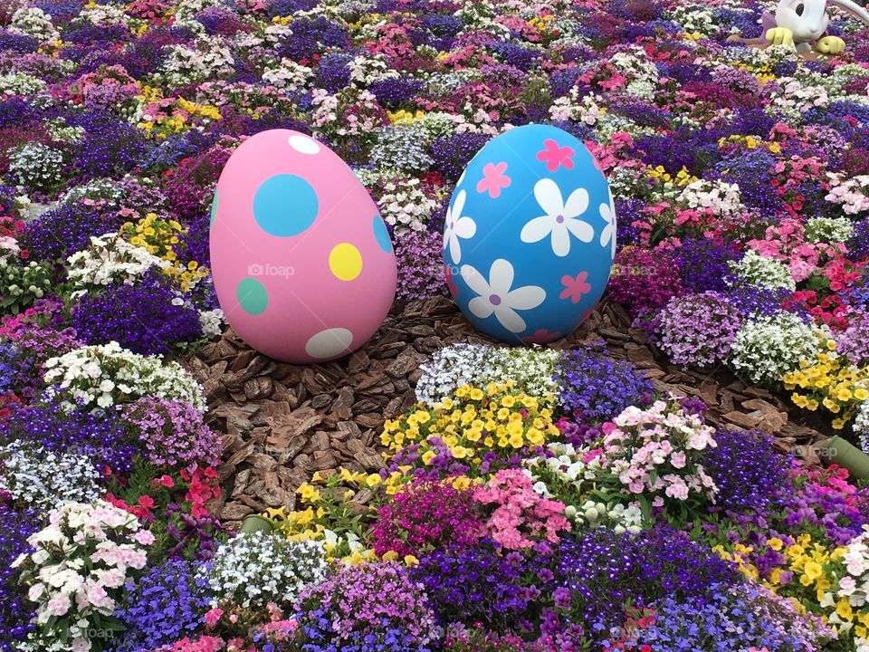 Flower garden with eggs
