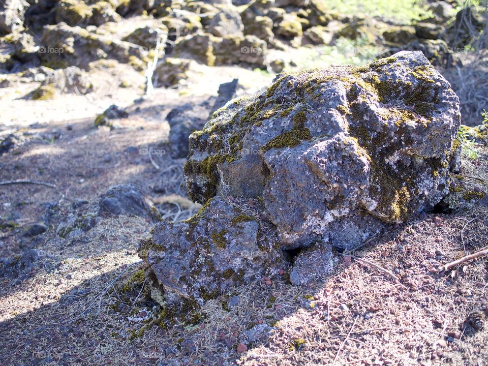 Jagged and rugged hardened lava rock high up in Oregon’s Cascade Mountains and forests on a sunny summer morning. 