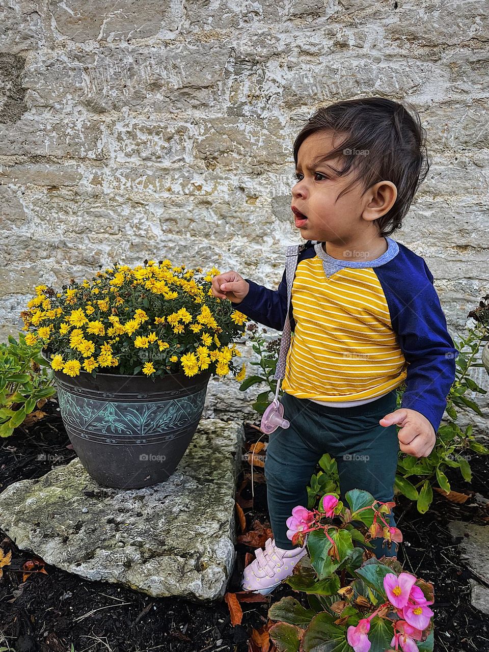 Baby girl has look of surprise on her face, baby is surprised in garden of flowers, trespassing baby gets caught