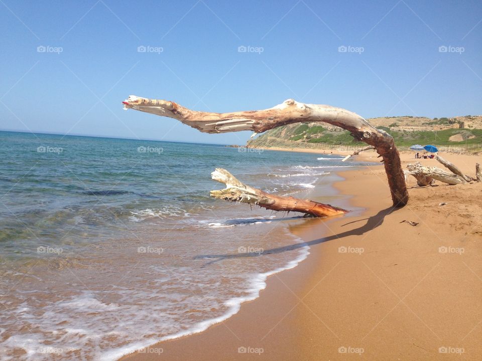 Selinunte Trapani Sicilia