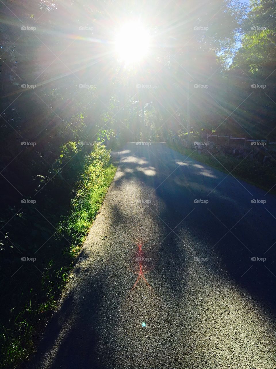 Road, No Person, Light, Landscape, Sun