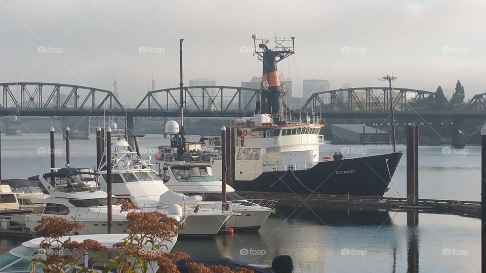 Boats Docked on Willamette River Portland Oregon