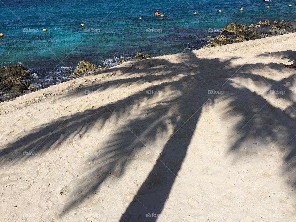 Shadows of a palm on the sand