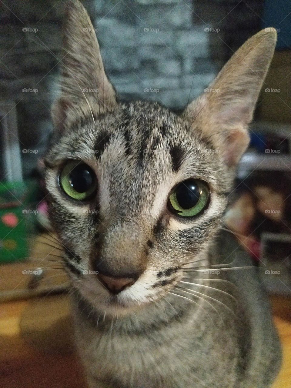 your eyes, our world