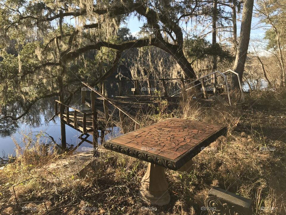 Old table by the river surrounded by old trees!