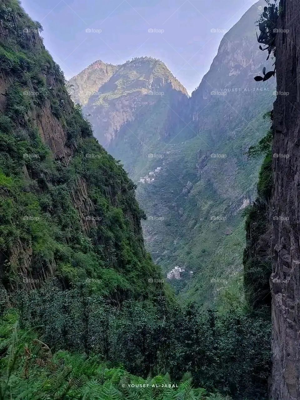 A very beautiful picture, and there is no better picture than it. There is no better picture of green herbs and colorful, red and white roses than it. Glory be to God, the natural and picturesque view, and there is no more