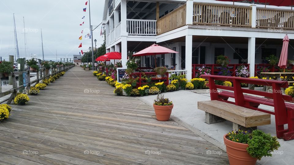 water front in Beaufort