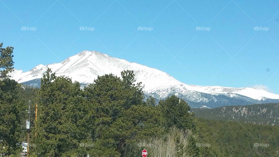 Snowy mountain & evergreens