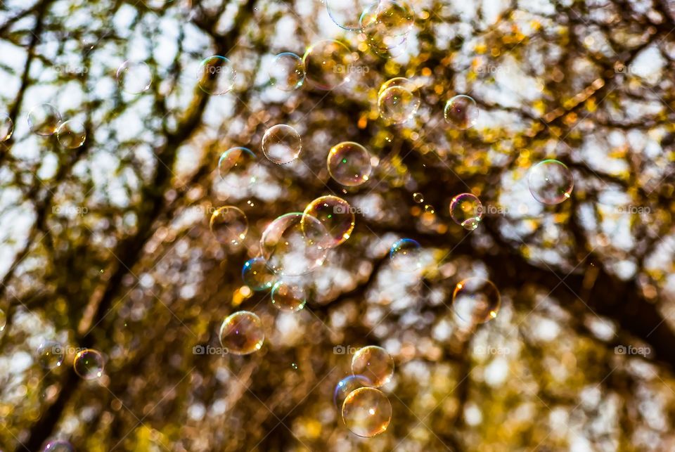 Low angle veiw of bubbles