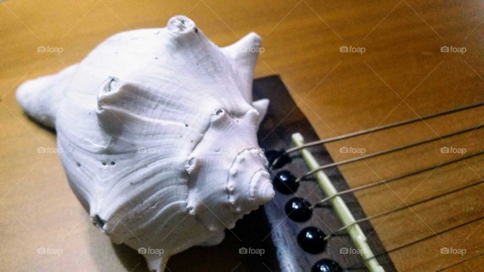 Guitar and seashell, Beach Music