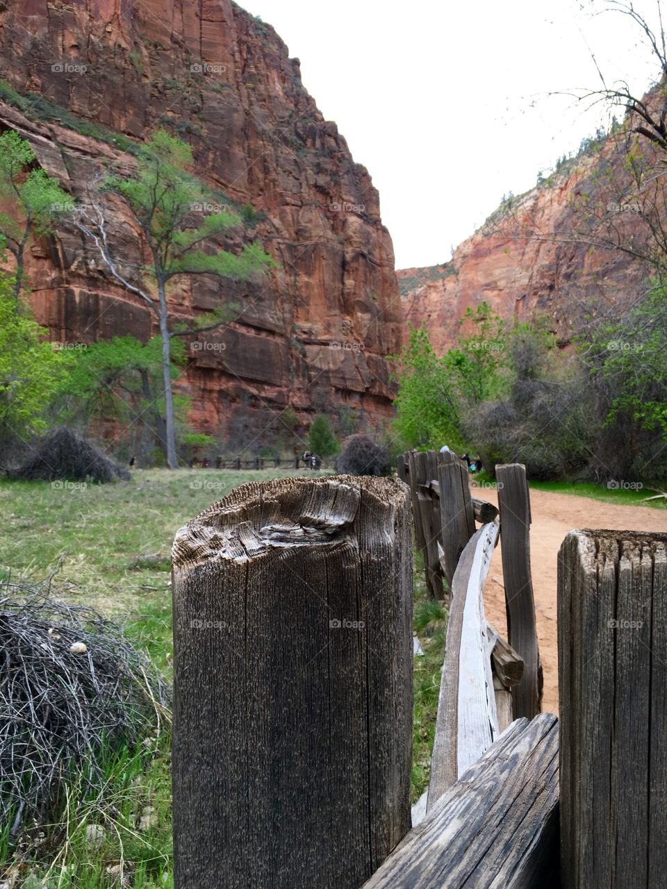 Zion fence